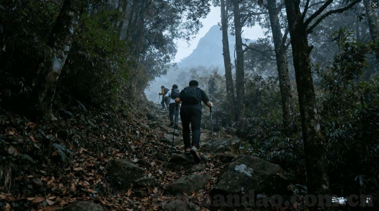 半岛平台半岛官方下载-半岛平台半岛官方下载及其操作指南
