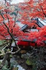 kaiyun官方入口网站-Kaiyun官方入口_音乐与娱乐的无限探索